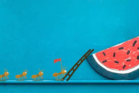 胎儿头位和臀位的区别