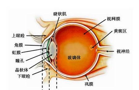 给宝宝拍照，咔嚓咔嚓响的欢，你认识到它存在的危险吗？