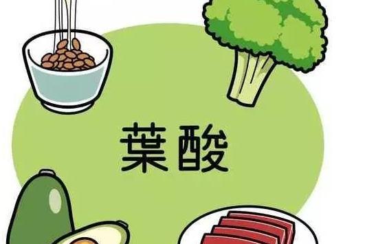 备孕期间 老公也要补叶酸吗?