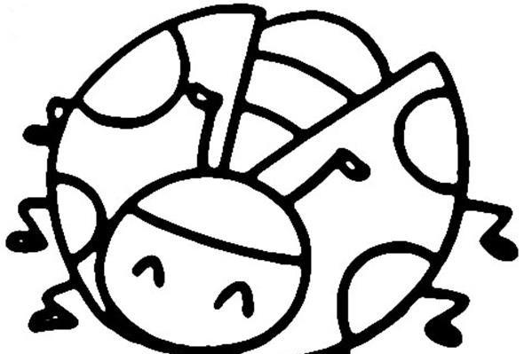 七星瓢虫简笔画步骤