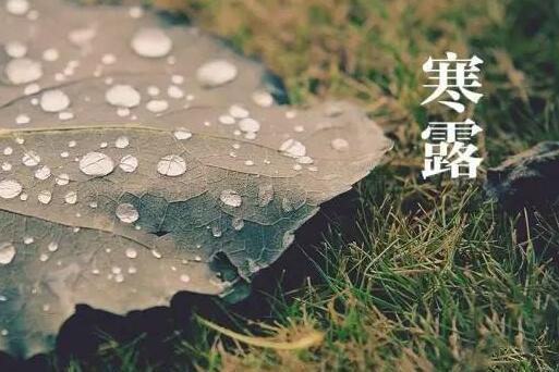 宝宝寒露喝什么汤