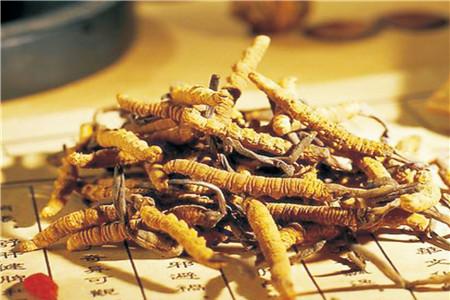 男人射精无力吃什么调理