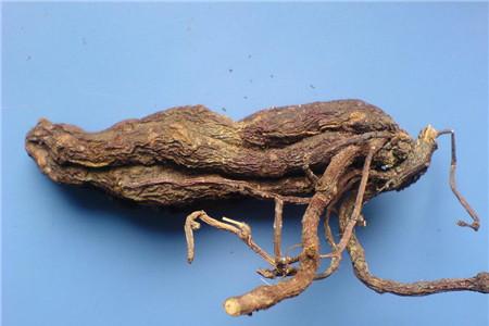 男性射精快吃什么比较好