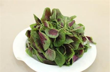 孕妇能吃苋菜吗