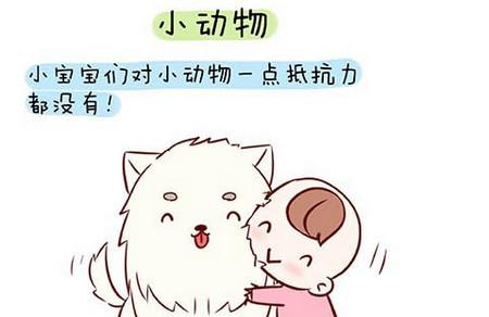 买来准备杀来吃的活鸡，竟然成了宝宝的玩具！