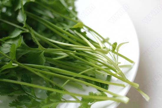 孕妇可以吃香菜吗