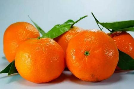 吃完的橘子皮千万不要扔掉！脑洞大开的手工全靠它们了