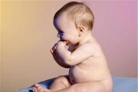 试管婴儿的寿命