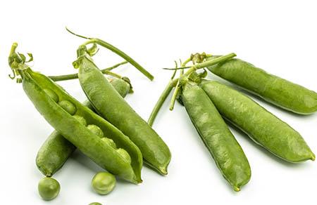 孕妇内裤什么牌子的好