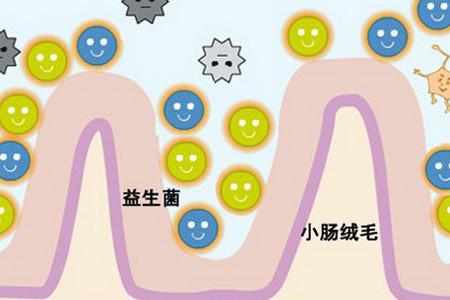 崔玉涛凭什么说益生菌可以改善宝宝的过敏体质？