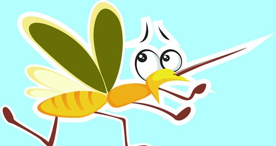 蚊子为什么会传播疾病