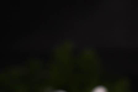 几个月宝宝可以坐学步车