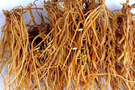 不射精症的中医疗法