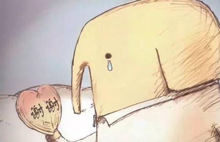 我陪孩子上了人生中的第一堂死亡课