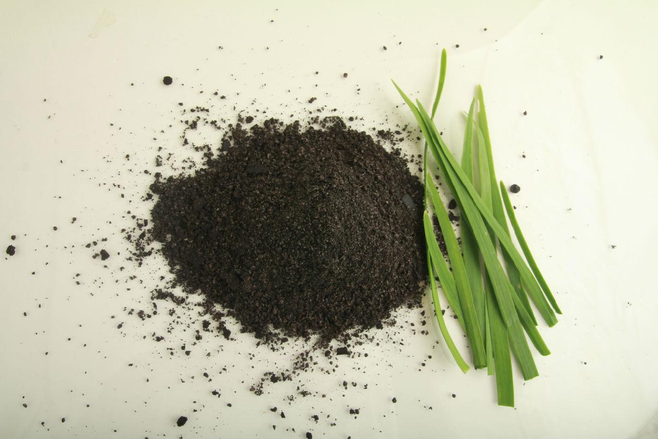 韭菜籽怎么吃补肾