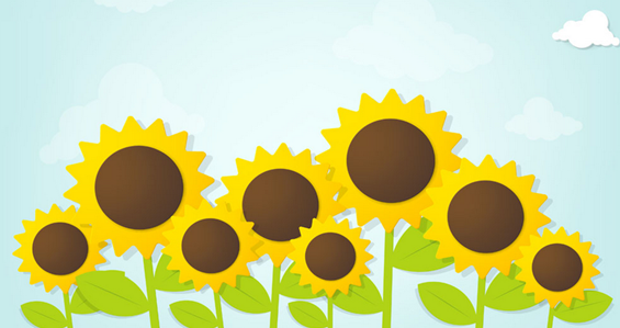 跟着太阳走的向日葵