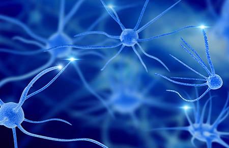 芋头怎么做给宝宝吃