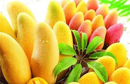 月经期间能吃芒果吗