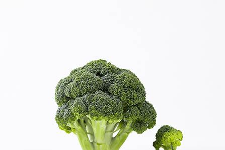 蚯蚓和虾的故事