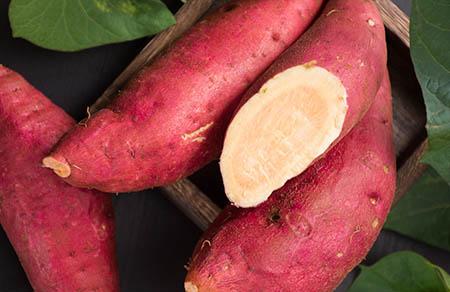 宝宝鱼头汤的做法大全