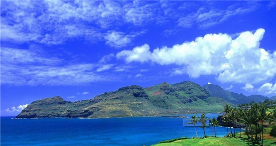 拳的握法及站姿冲拳