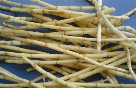 白茅根的功效与作用