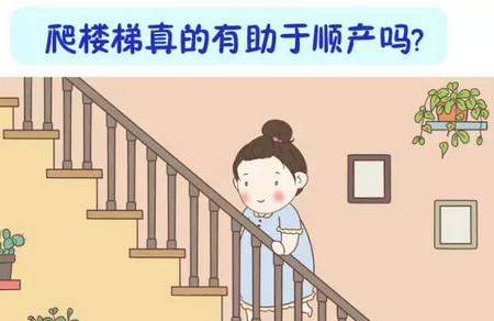 漫画：爬楼梯真的有助于顺产吗？