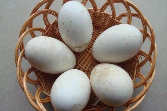 鹅蛋的功效与作用