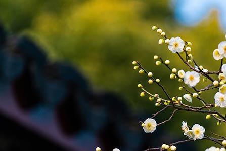 6到12岁儿童睡前故事