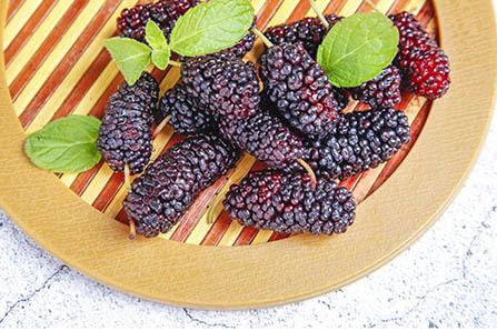 戒烟最好的方法偏方