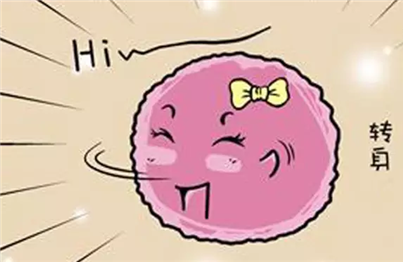 女人一生排多少卵子