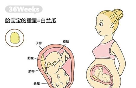 怀孕36周注意事项