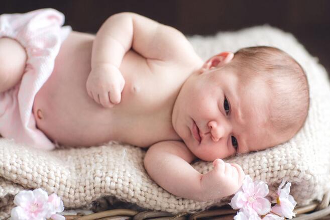 2018年4月份出生的狗宝宝好不好？孩子此时出生怎么样