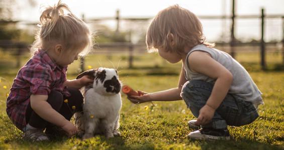 孩子的社交与情绪管理能力