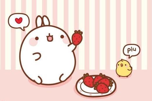 2017年属兔人的全年运势