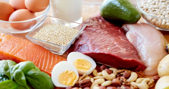 与智力发育有关的营养物质-蛋白质