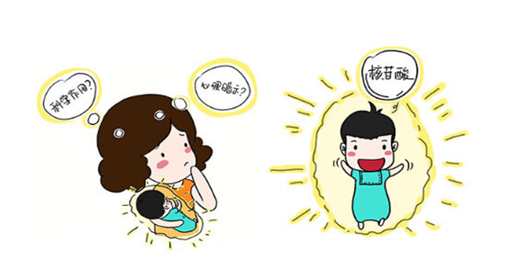 与智力发育有关的营养物质-核苷酸