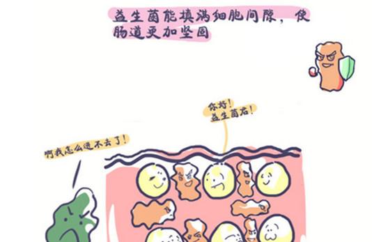 关乎人体免疫力，健康肠道给婴幼儿更多成长能量