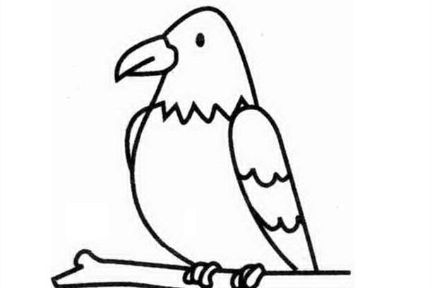 老鹰简笔画步骤图解