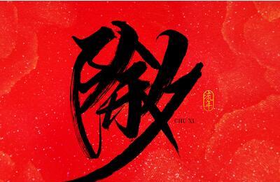 2017除夕生孩子好吗