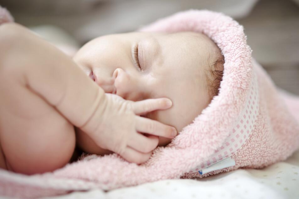 2018年5月份出生的狗宝宝好不好？护理方面要注意什么