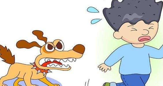 被狗咬伤怎么办