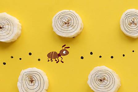 产妇牛腩的做法大全