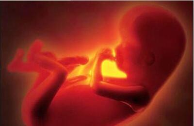 胎儿打嗝判断胎位图解