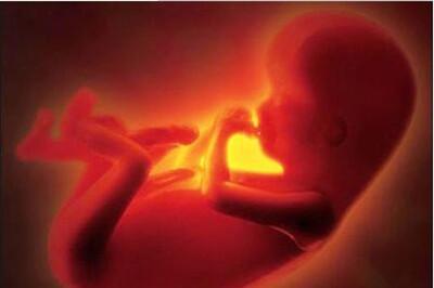 胎儿打嗝判断胎位图解