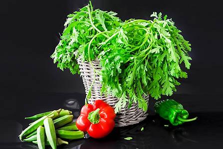 2017鸡年七字对联大全集