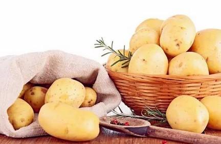 土豆、红薯发芽了不能吃？这些食物发芽后营养加倍