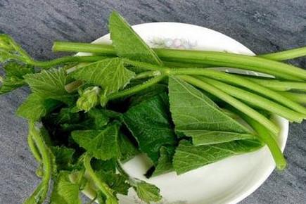 南瓜藤能治胃痛、去结石、助戒烟，却没什么人知道