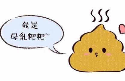 看宝宝便便识健康，宝妈必备技能！