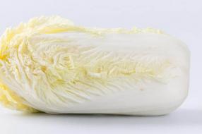 昙花治咳嗽怎么吃